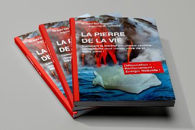 Livre la pierre de la vie